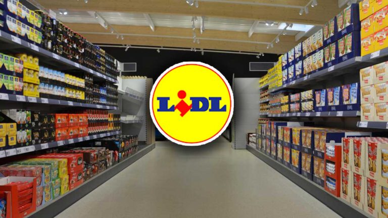 Lidl  cet appareil à moins de 90 euros qui vous permet de faire des repas healthy fait un carton !